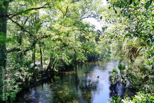 Hillsborough river state park at Tampa  Florida 