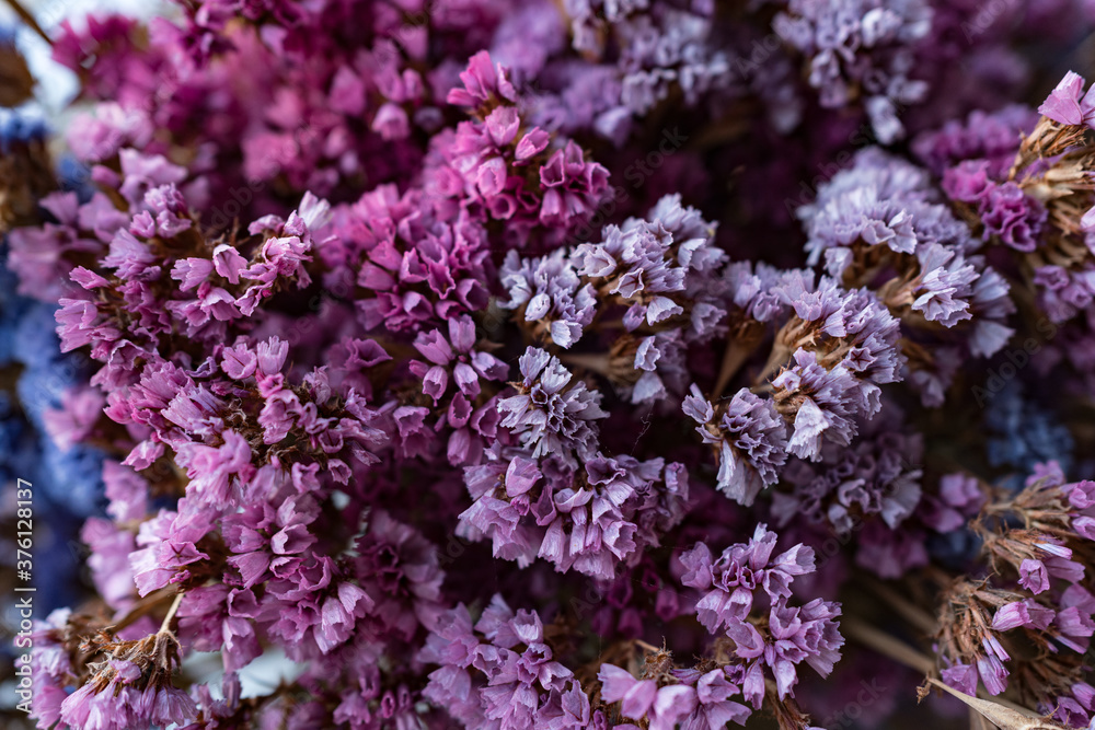 Dried flowers bouquet close-up. Calm and naturals colors of pink and lilac