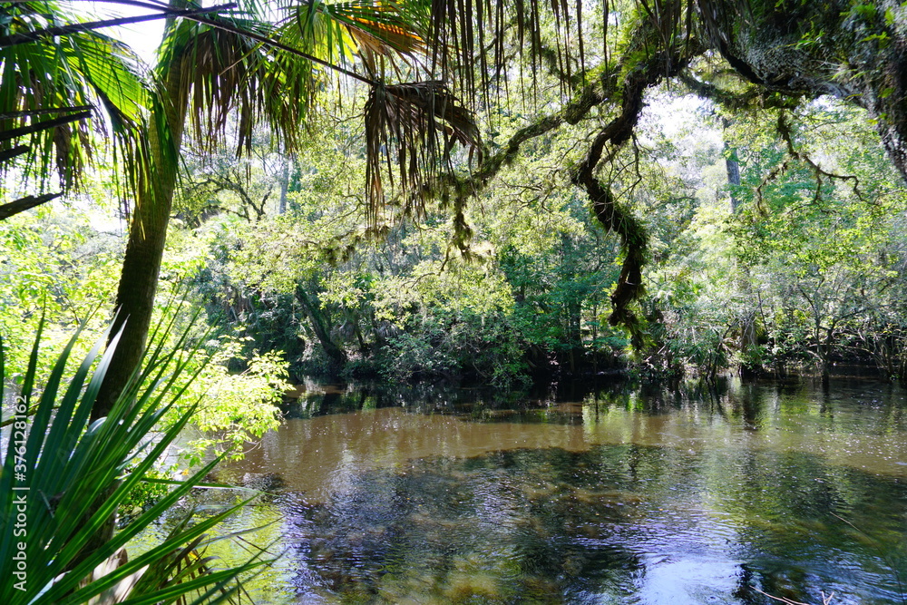Hillsborough river state park at Tampa, Florida Hillsborough river state park at Tampa, Florida