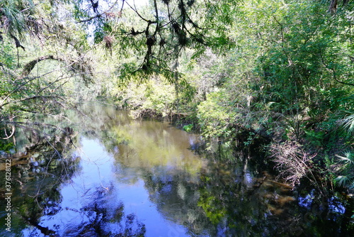 Landscape of Hillsborough river state park at Tampa  Florida