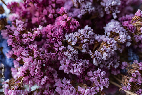 Dried flowers bouquet close-up. Calm and naturals colors of pink and lilac