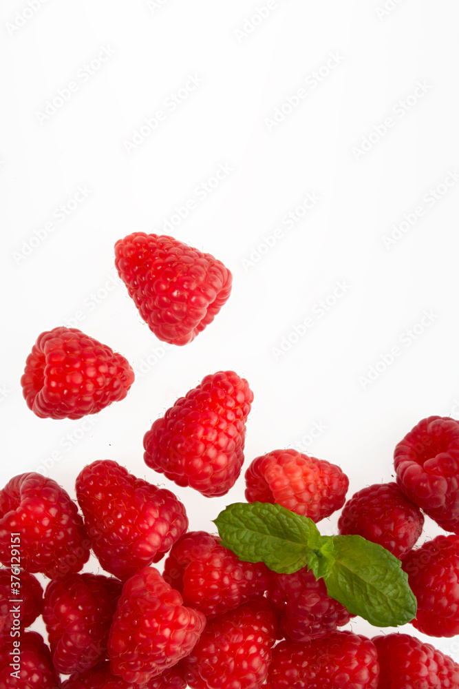 Raspberries arranged on a white background. Raspberries arranged on a white background.