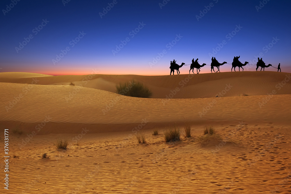 Camel caravan in desert sand dunes at sunset or dusk