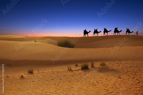 Camel caravan in desert sand dunes at sunset or dusk