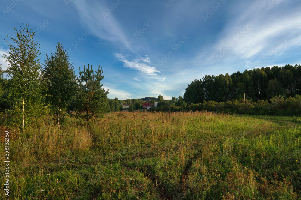 Summer landscape green meadow on a background of forest and blue sky. Summer landscape green meadow on a background of forest and blue sky.