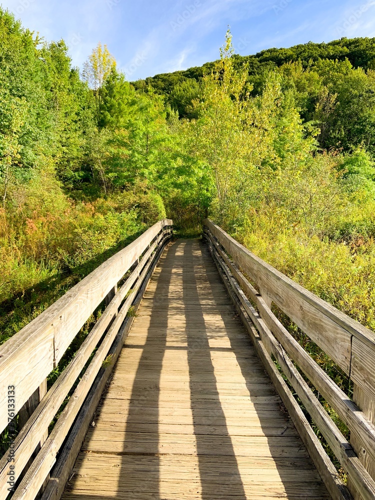 Obraz premium A Bridge Into...