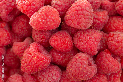 Fresh red garden raspberry fruits close up background
