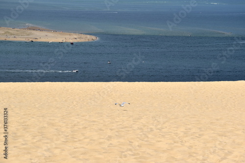 Wallpaper Mural Dune du Pilat an der Atlantikküste in Frankreich Torontodigital.ca