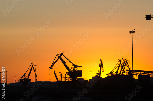 cranes on the docks in the sunset