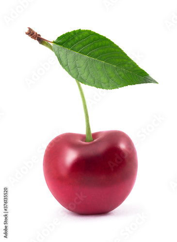 Cherry with leaf isolated on white background
