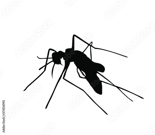 Mosquito vector silhouette illustration isolated on white background. Insect sucks blood. Animal symbol.