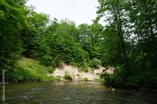 Fototapeta Naklejka Na Ścianę i Meble -  Pine River in the forest of Michigan