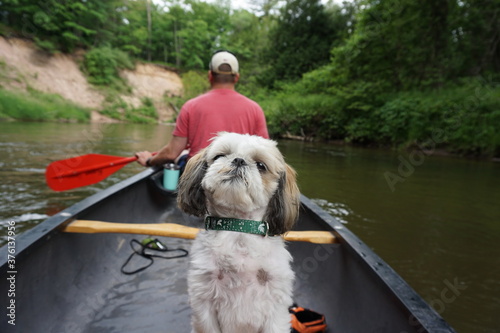 Pine River Scenic River, Wellston, Michigan