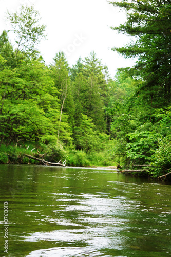 Pine River Scenic River  Wellston  Michigan