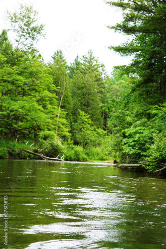 Pine River Scenic River, Wellston, Michigan