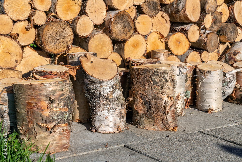 Close up photo of fresh stacked short birch wood logs on barbeque spot, garden. A lot of birch logs harvested to be used for grilling. Summer evening, concrete plates. Close up photo of fresh stacked short birch wood logs on barbeque spot, garden. A lot of birch logs harvested to be used for grilling. Summer evening, concrete plates.