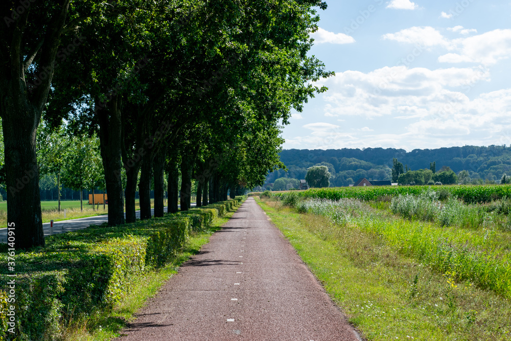 A bike path in the polder
