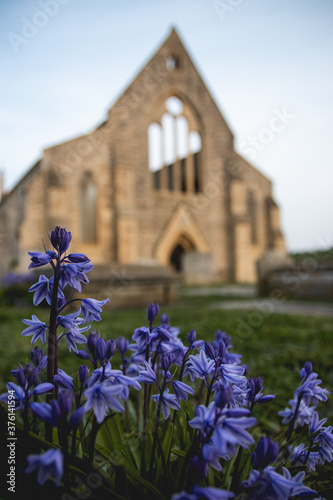 the royal garrison church in old portsmouth with bluebells in the foreground