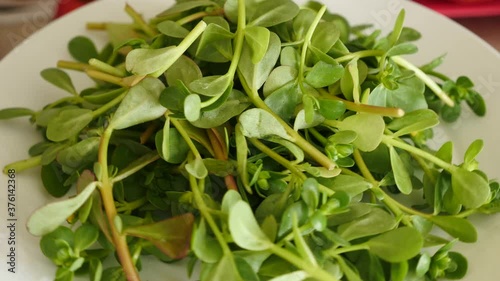 human health and purslane, purslane for breakfast,