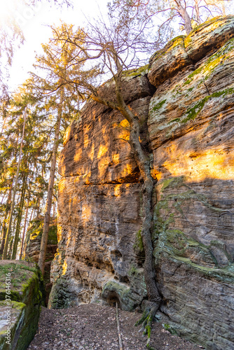 Chlum - Kozlov Castle Ruins, Bohemian Paradise, Czech Republic photo