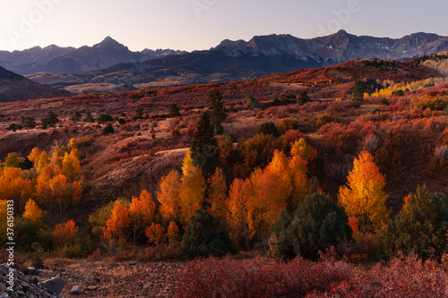 Colorado fall colors and Aspen trees at Dallas Divide in the San Juan Mountains