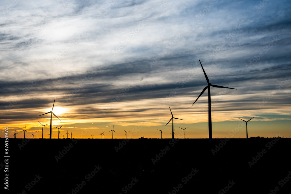 Obraz premium Sunset behind a field of wind turbines