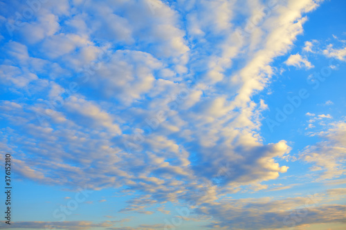 Altocumulus clouds on the morning sky