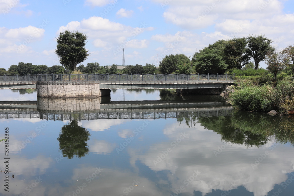 Fototapeta premium 湖面と空