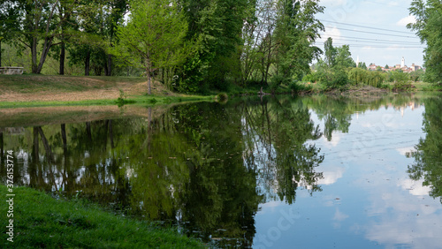vue sur un étang en été avec les reflets des arbres et du ciel en été 