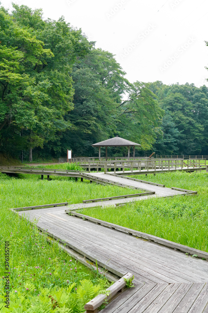 Fototapeta premium 公園の東屋