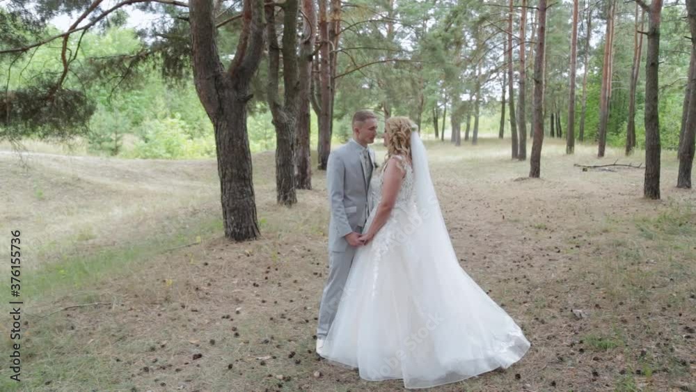 Gorgeous bride and groom hugging and kissing in summer forest. Gorgeous bride and groom hugging and kissing in summer forest.