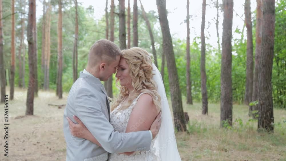 Gorgeous bride and groom hugging and kissing in summer forest. Gorgeous bride and groom hugging and kissing in summer forest.