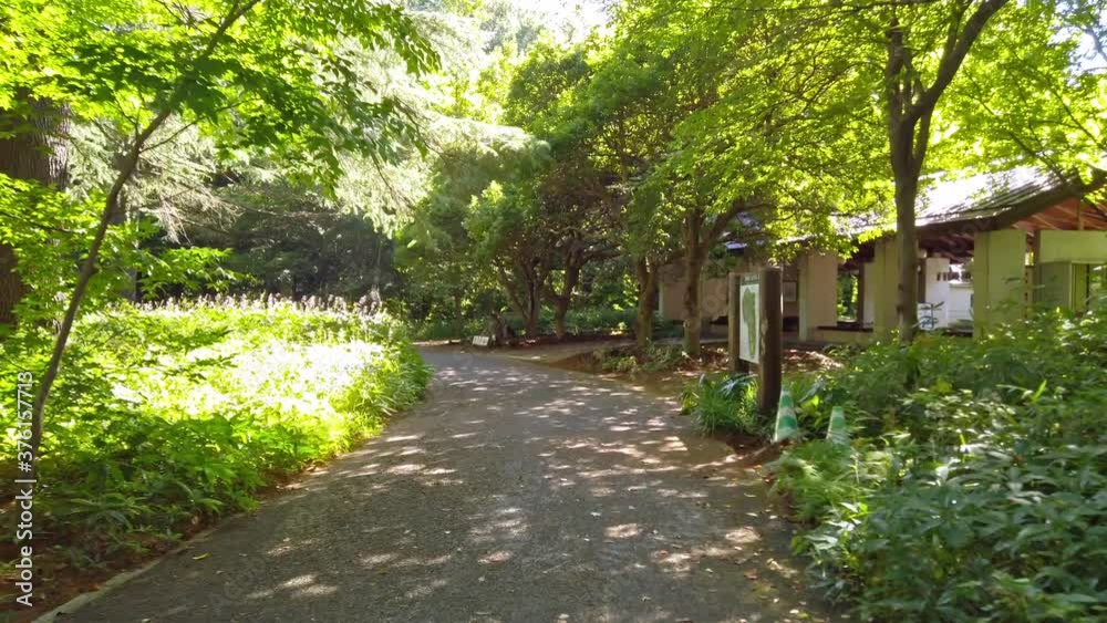 東京都新宿区にある大きな公園の森の景色 東京都新宿区にある大きな公園の森の景色