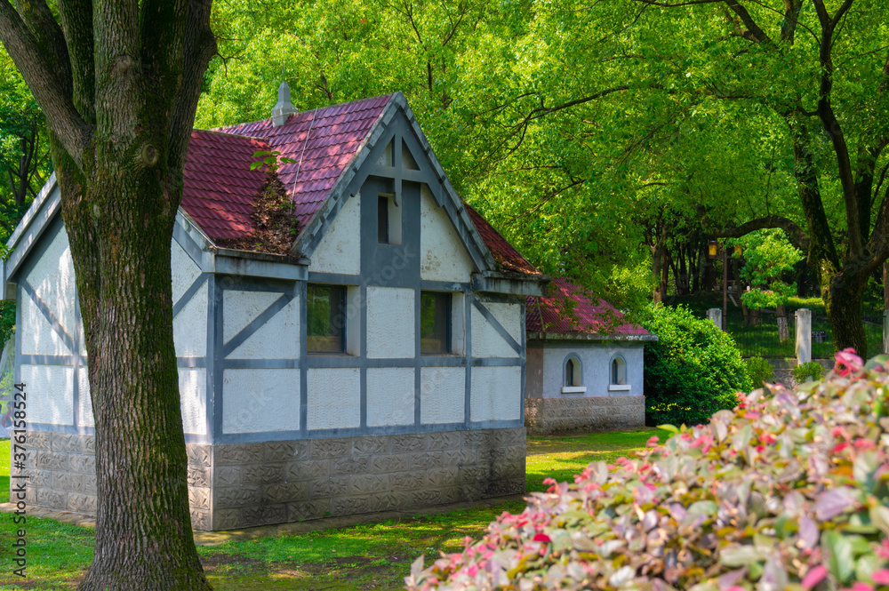 Summer scenery of Wuhan East Lake Scenic Spot Summer scenery of Wuhan East Lake Scenic Spot