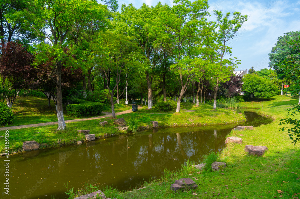 Spring scenery of Huanghelou Forest Park in Wuhan, Hubei Spring scenery of Huanghelou Forest Park in Wuhan, Hubei