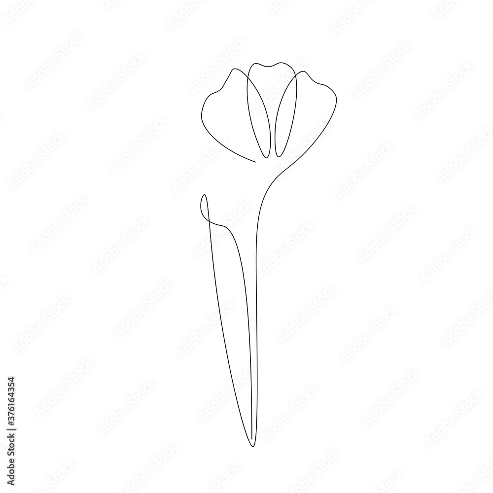 Flower on white background, vector illustration Flower on white background, vector illustration