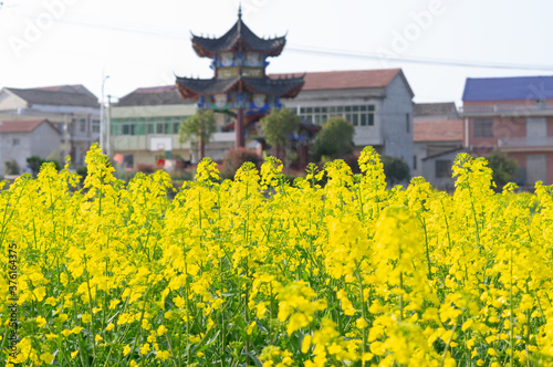 Spring scenery of Hubei Daye Zhaoshan Forest Park photo