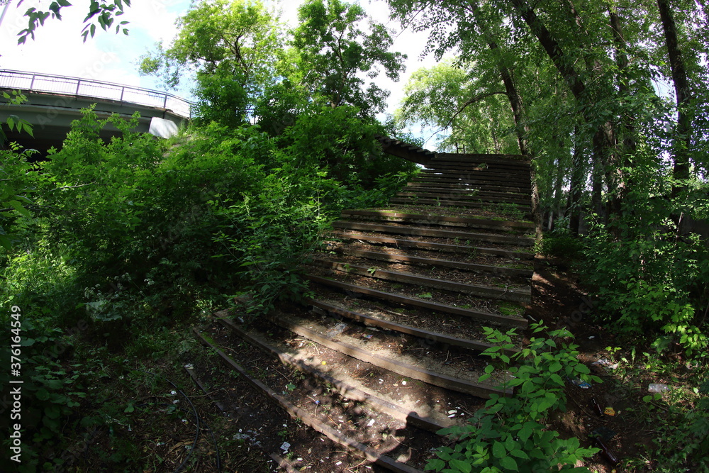 old stairs overgrown with plants old stairs overgrown with plants