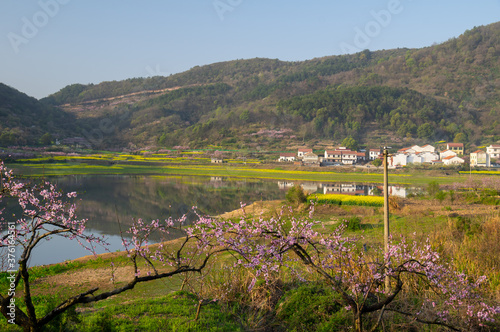 Spring scenery of Hubei Daye Zhaoshan Forest Park photo