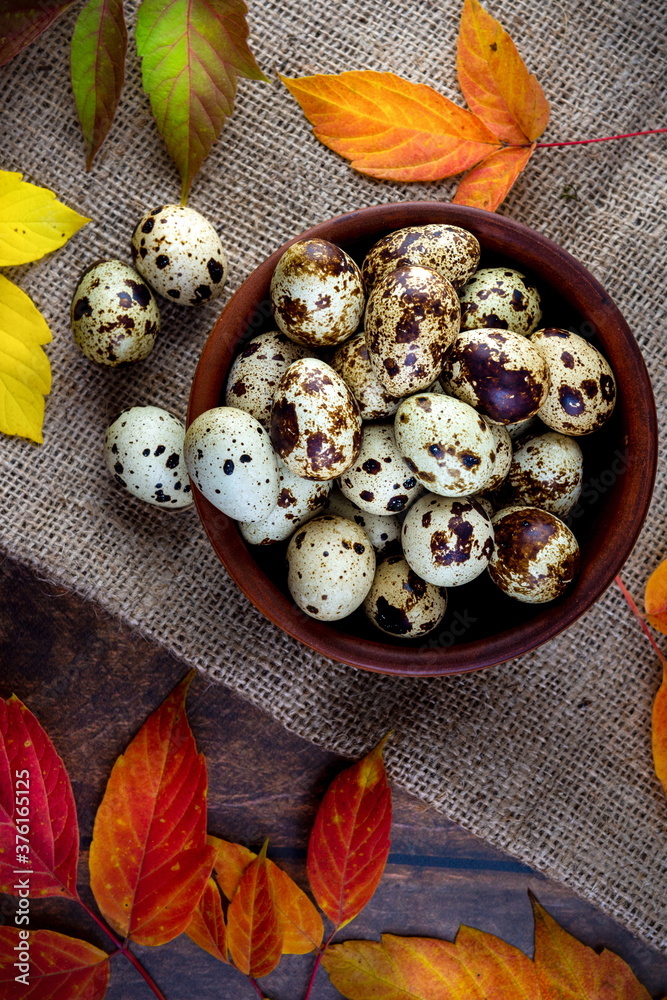 quail eggs in a ceramic bowl with autumn leaves on a dark background quail eggs in a ceramic bowl with autumn leaves on a dark background