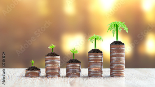 Pile of coins is stacked in a graph shape with sapling of a growing tree for money saving ideas and financial planning insurance.