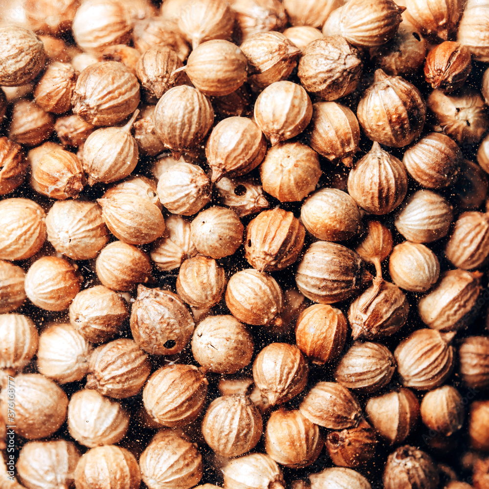 Close up of dried coriander seed texture background Close up of dried coriander seed texture background