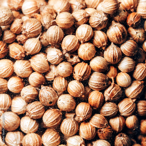 Close up of dried coriander seed texture background