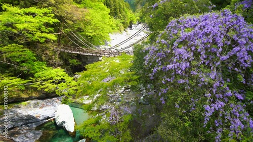 4K footage of Iya Kazura Bridge in Miyoshi City, Tokushima Prefecture, Japan photo