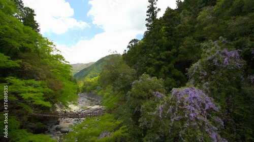 4K footage of Iya Kazura Bridge in Miyoshi City, Tokushima Prefecture, Japan