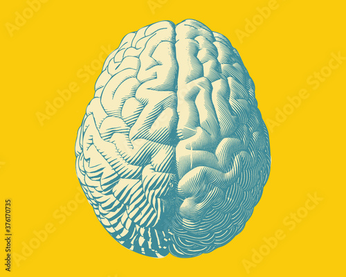 Engraving top view brain illustration on yellow BG