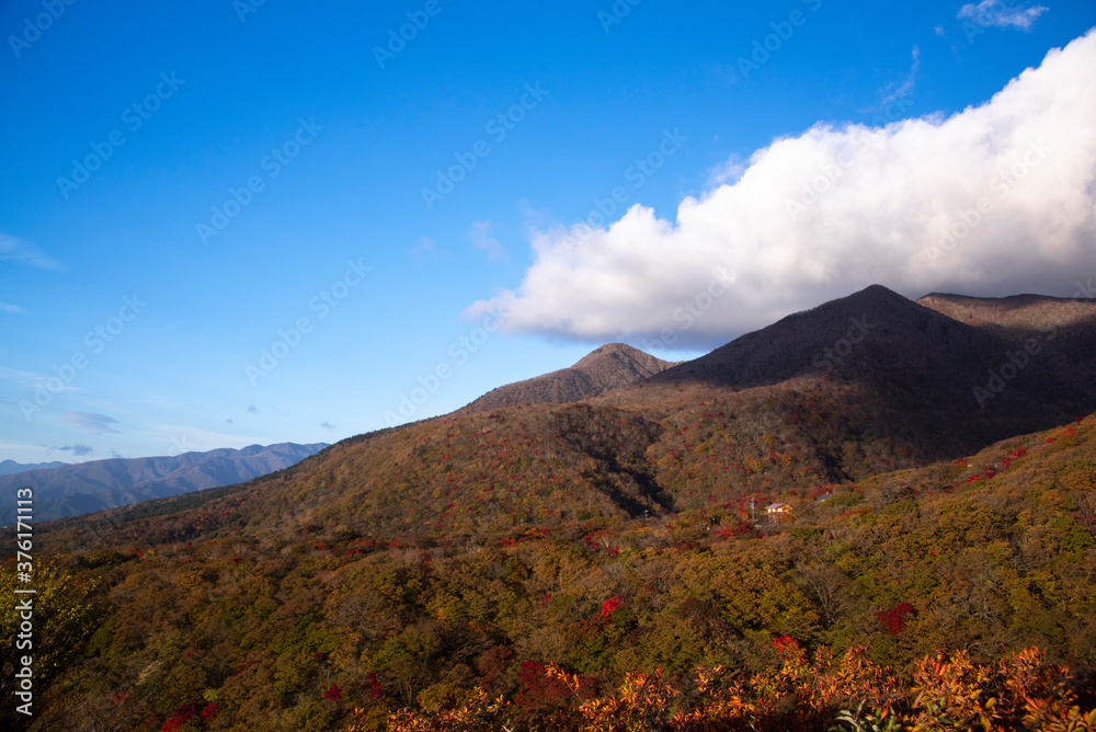 Autumn leaves　blue sky　Mountain