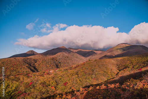 Autumn leaves　blue sky　Mountain © ISAMU