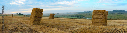 Haystacks in farm field during foggy sunrise