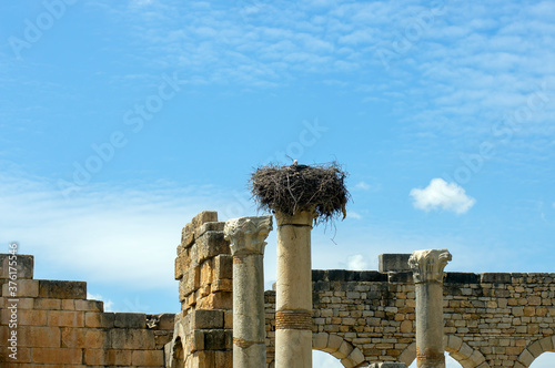 Stork on nest atop column amidst the ancient roman era ruins, Volubilis, Morocco  photo